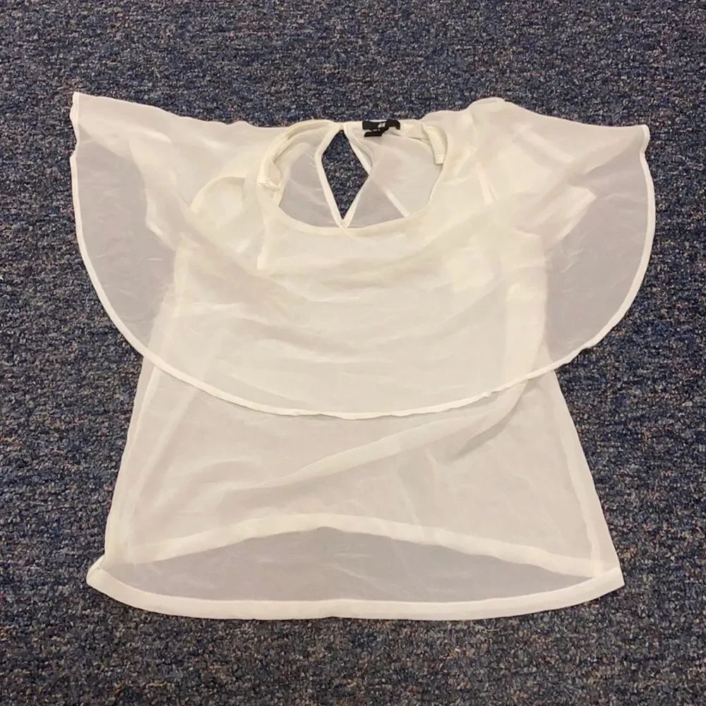 H & M sheer butterfly top sz. 4